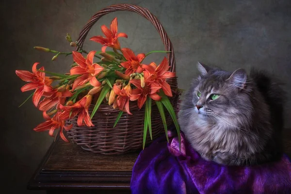 Floral Ainda Vida Com Gatinho Cinza Adorável — Fotografia de Stock