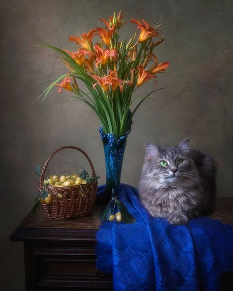 Квіткове Натюрморт Чарівною Сірою Кішечкою — стокове фото