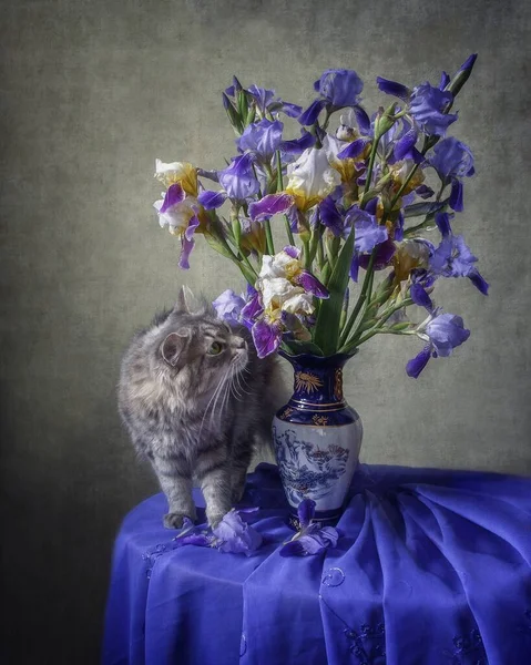 Natura Morta Con Splendido Bouquet Fiori Iris Gattino Curioso — Foto Stock