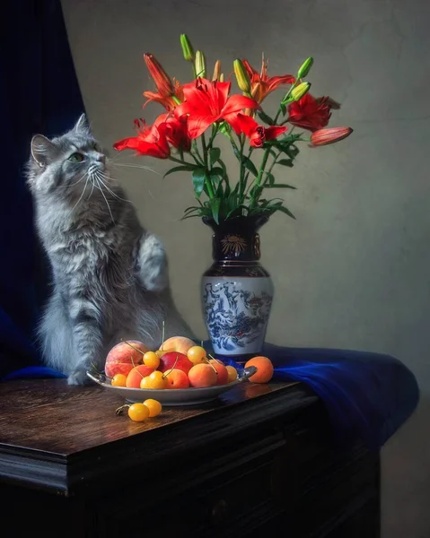 Nature Morte Avec Des Fleurs Chaton Curieux — Photo