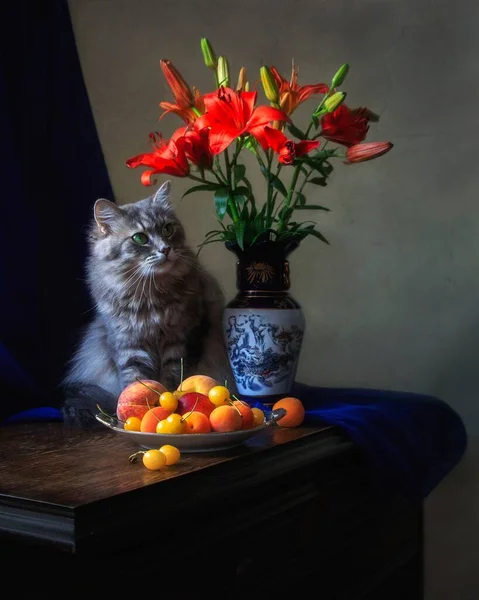 Natureza Morta Com Flores Gatinho Curioso — Fotografia de Stock