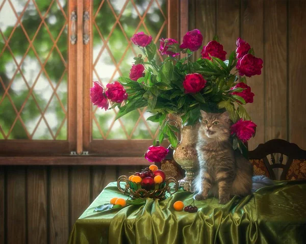 Nature Morte Avec Splendide Bouquet Pivoine Chaton Curieux — Photo