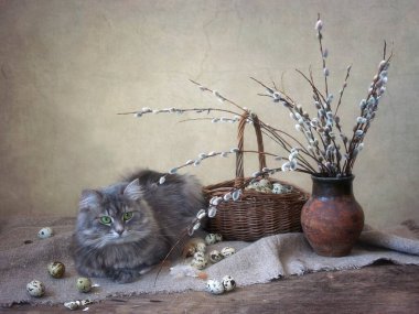 Söğüt dalları ve gri kediciğiyle bahar sakin bir hayat