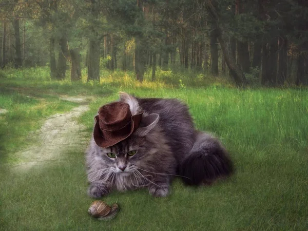 若いですグレー子猫でハンター帽子 — ストック写真
