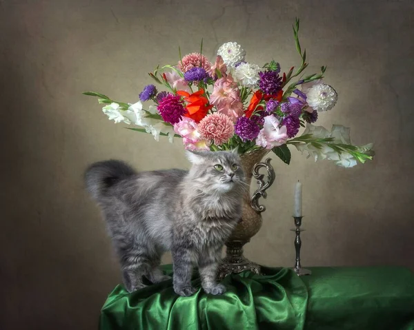 Nature Morte Avec Bouquet Luxueux Fleurs Chaton Curieux — Photo