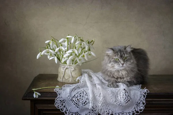 Natureza Morta Com Flores Primavera Gatinho Cinza Bonito — Fotografia de Stock