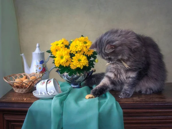 春の花まだ生活ともにかなり灰色の子猫 — ストック写真
