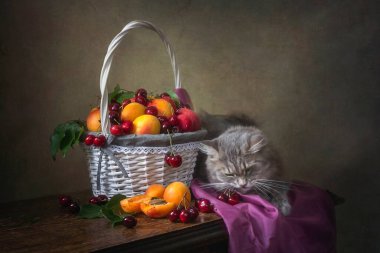 Hayat meyvelerle ve meraklı kediyle dolu