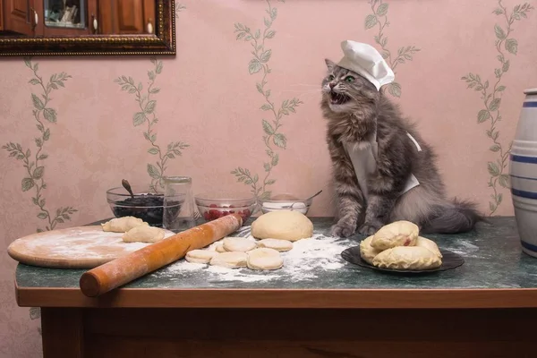 Funny Kitty Involved Cooking Pies — Stock Photo, Image