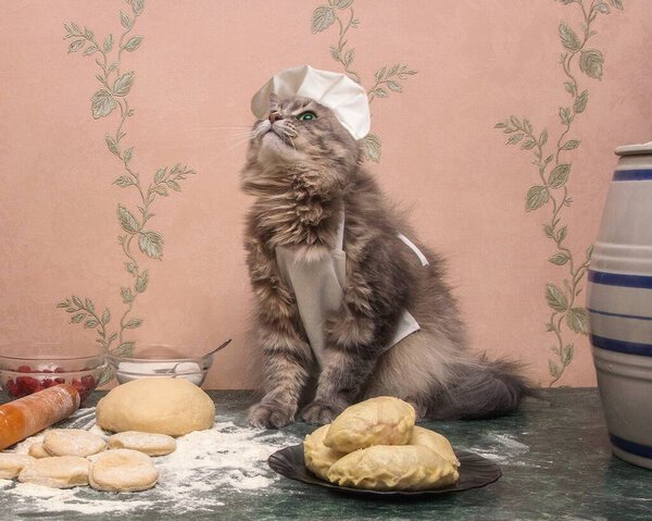 Funny kitty is involved in cooking pies