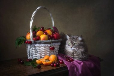 Hayat meyvelerle ve meraklı kediyle dolu