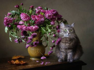 Kasımpatı buketi ve gri kedicik ile dolu bir hayat