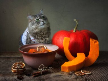 Sebzelerle ve güzel gri kediciğimle