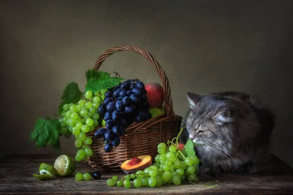 Nature Morte Avec Des Fruits Chaton Curieux — Photo