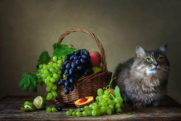 Nature Morte Avec Des Fruits Chaton Curieux — Photo