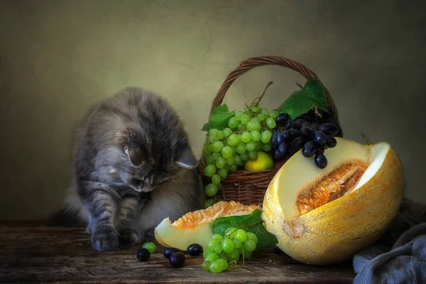 Nature Morte Avec Des Fruits Chaton Curieux — Photo