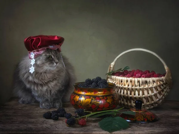 Adorable Chaton Gris Panier Avec Framboise — Photo