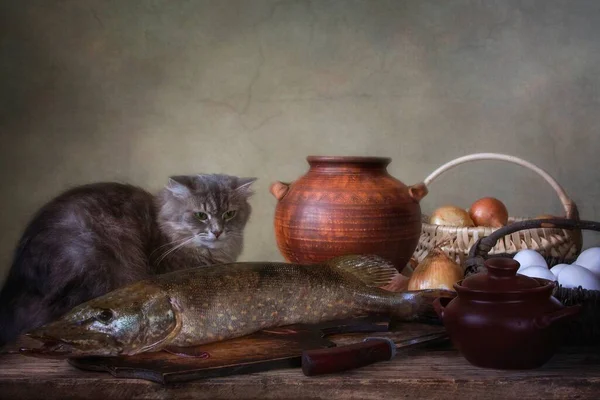 Natureza Morta Com Peixe Lúcio Gatinho Engraçado — Fotografia de Stock