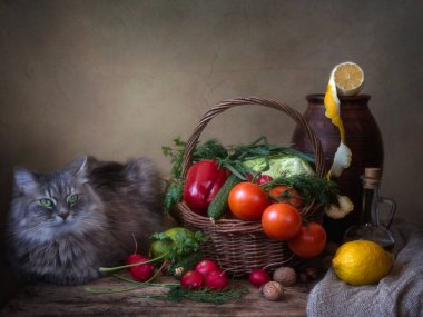 Sebzelerle ve gri kediyle hayat