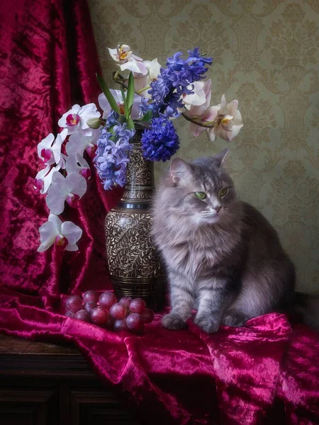 Stillleben Mit Blumenstrauß Und Entzückendem Grauen Kätzchen — Stockfoto