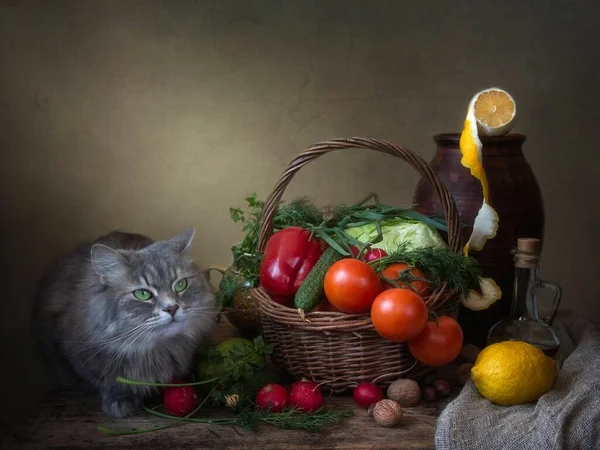 Nature Morte Avec Légumes Chaton Gris — Photo