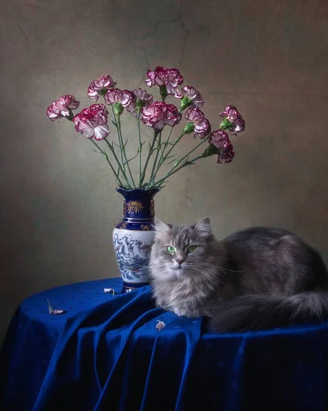 Bodegón Con Ramo Flores Adorable Gatito Gris —  Fotos de Stock