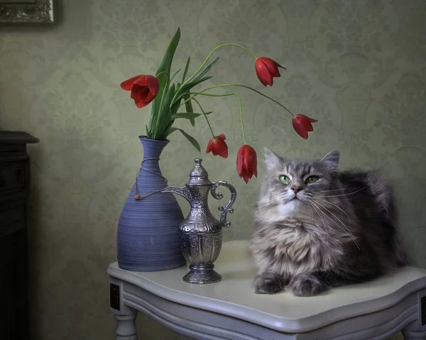 Natureza Morta Com Tulipas Vermelhas Gatinho Curioso — Fotografia de Stock