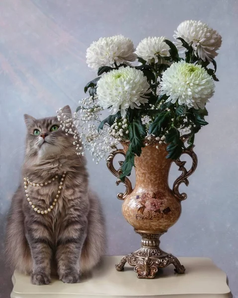 美しい子猫と花の花瓶とまだ生活 — ストック写真