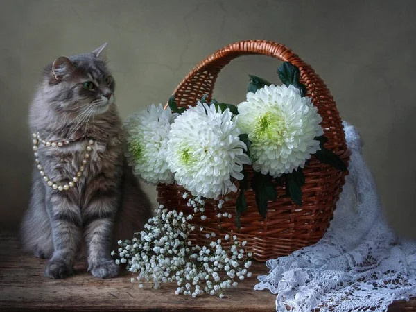 Натюрморт Красивою Кошеняткою Кошиком Квітів — стокове фото