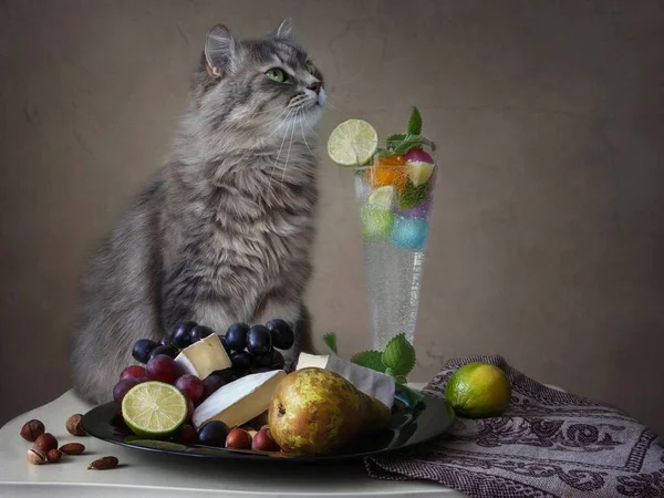 Bodegón Con Verduras Hermoso Gatito Gris — Foto de Stock