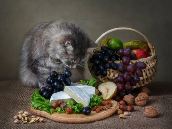 Nature Morte Avec Panier Fruits Adorable Chaton — Photo