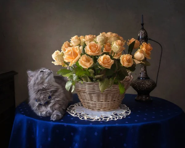 Nature Morte Avec Belle Chatte Panier Fleurs — Photo