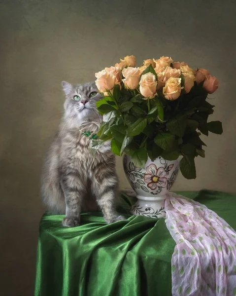 Nature Morte Avec Beau Chaton Splendide Bouquet Roses — Photo