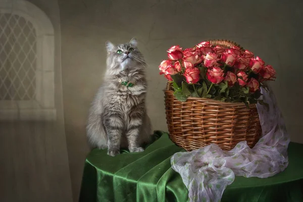 Натюрморт Красивою Кошеняткою Кошиком Квітів — стокове фото