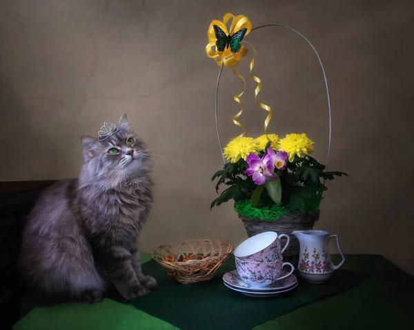 Natura Morta Con Bel Gattino Cesto Fiori — Foto Stock