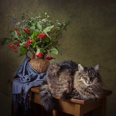 Sonbahar buketi ve meraklı kedi