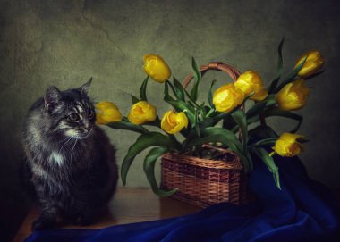 Çiçekli natürmort ve sevimli tekir kedi