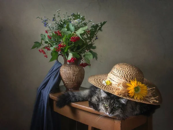 Осінній Букет Цікавий Кіт — стокове фото