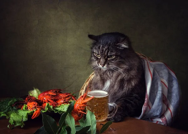 Beer with crayfish and funny cat in a laurel wreath