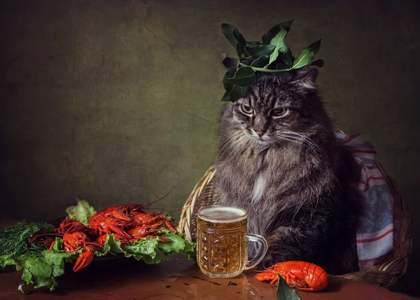 Bière Avec Écrevisses Chat Drôle Dans Une Couronne Laurier — Photo