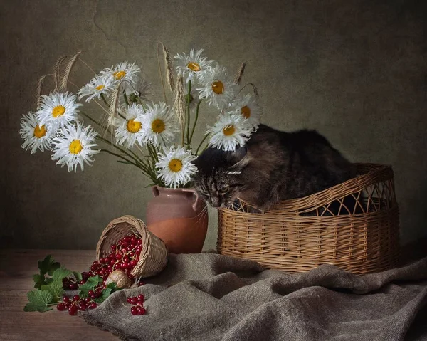 Floral still life and adorable tabby cat — Stock Image Floral Still Life Adorable Tabby Cat Royalty Free Stock Photos