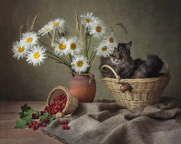 Floral still life and adorable tabby cat — Stock Image Floral Still Life Adorable Tabby Cat Stock Picture