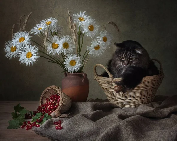 Floral still life and adorable tabby cat — Stock Image Floral Still Life Adorable Tabby Cat Royalty Free Stock Images
