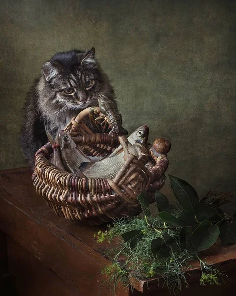 Still life with fish and old cat — Stock Image Still Life Fish Old Cat Royalty Free Stock Images
