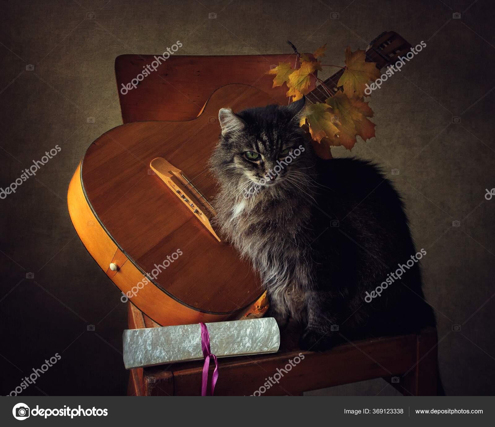 Nature Morte Avec Guitare Chat Image Libre De Droit Par Daykiney C Nature Morte Avec Guitare Chat Image Libre De Droit Par Daykiney C