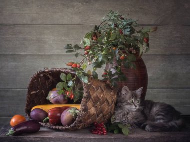 Sonbaharda küçük gri kedi yavrusu