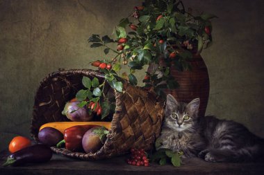 Sonbaharda küçük gri kedi yavrusu