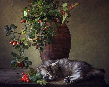 Sonbaharda küçük gri kedi yavrusu