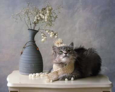 Kışlık elbiseli sevimli küçük gri kedi yavrusu.