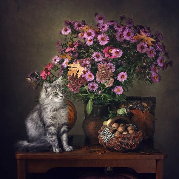 Nature Morte Avec Bouquet Automne Charmant Chaton Gris — Photo